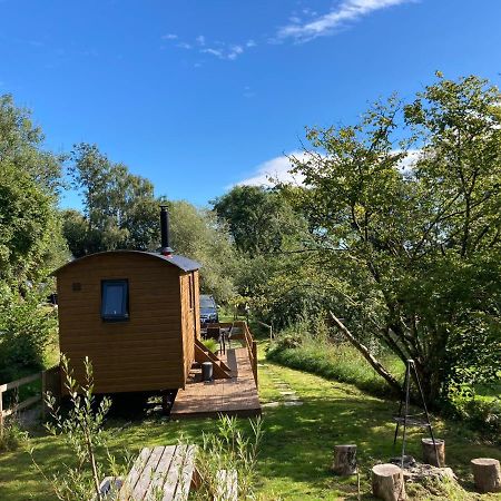 Herdwick Shepherd Hut Exeter Esterno foto