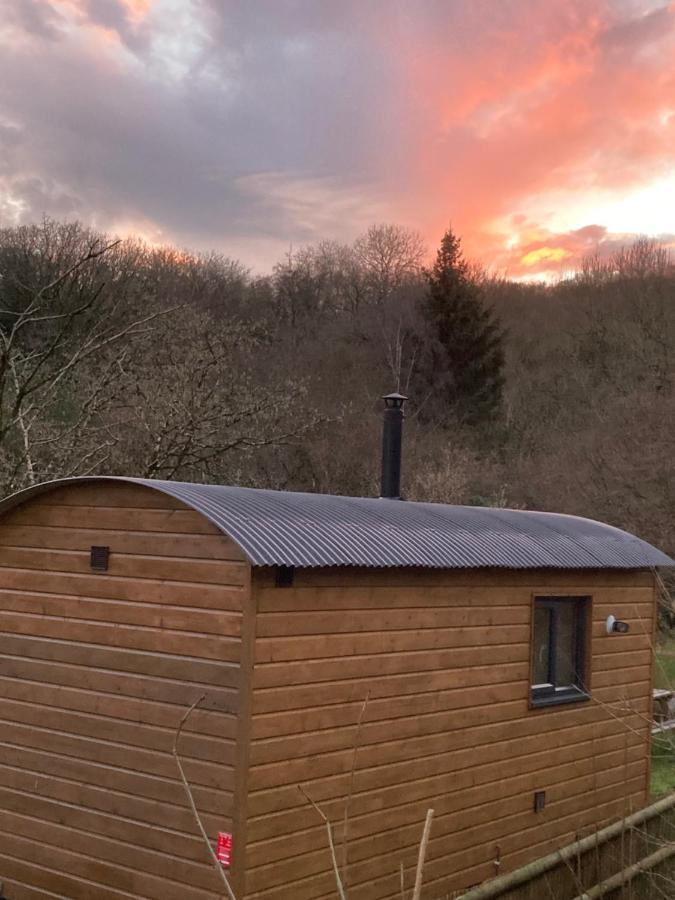 Herdwick Shepherd Hut Exeter Esterno foto